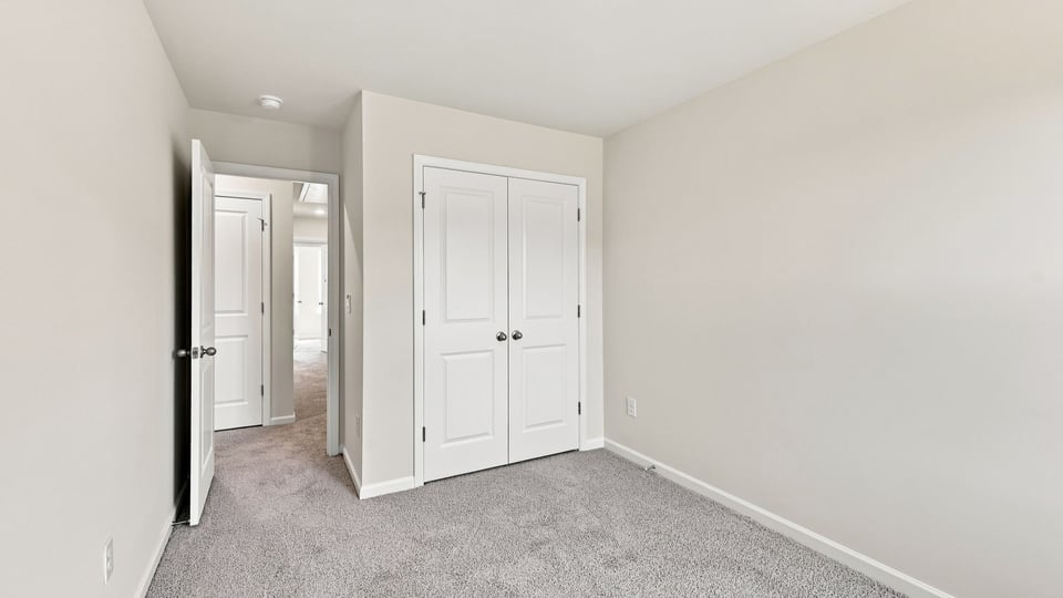 Stairs with carpet.