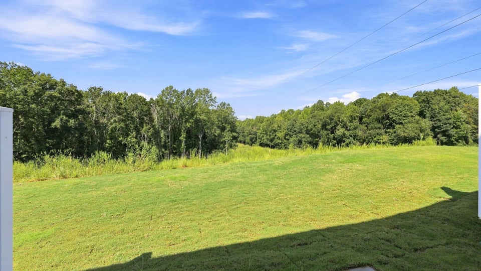 Back exterior of home with large backyard.