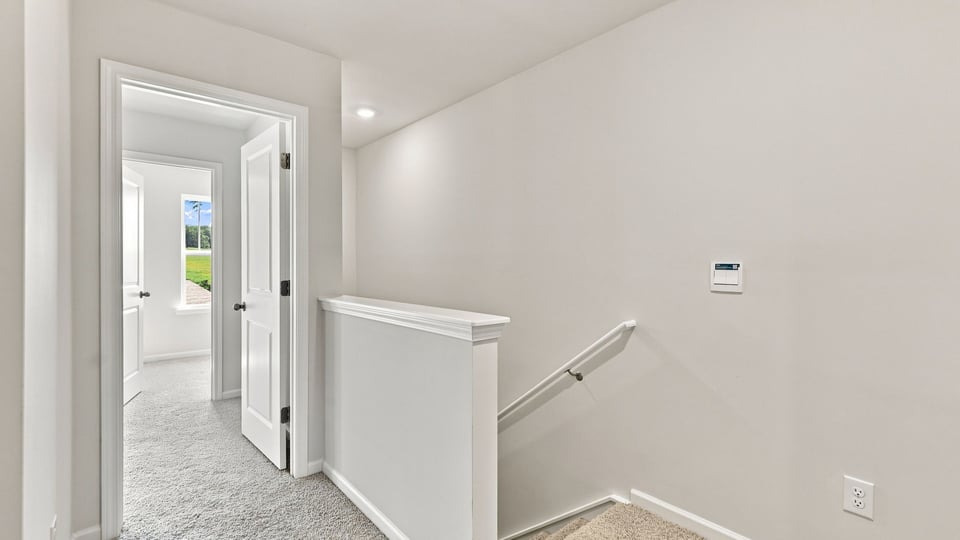 Stairs with carpet.