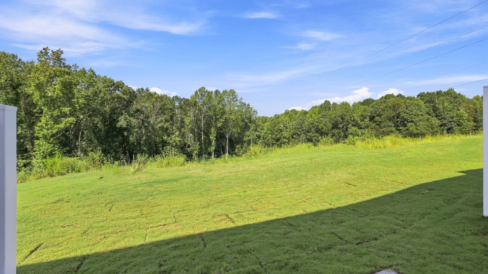 Back exterior of home with large backyard.