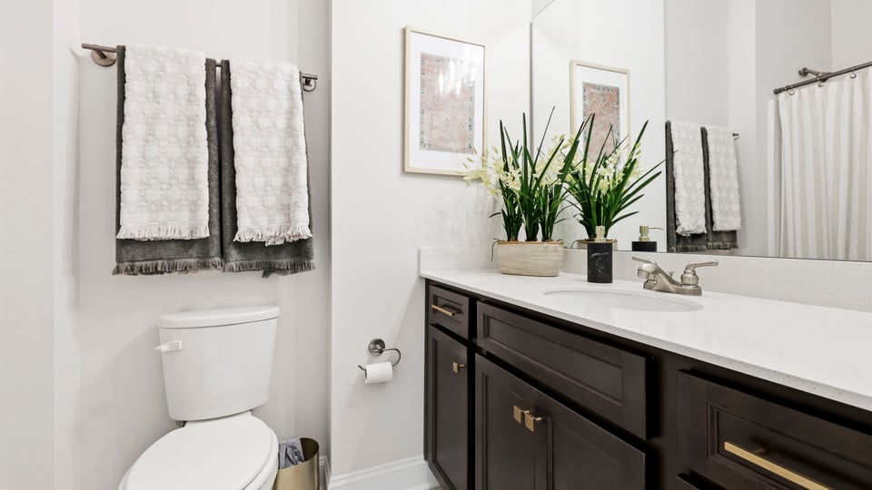 Bathroom with double vanity.