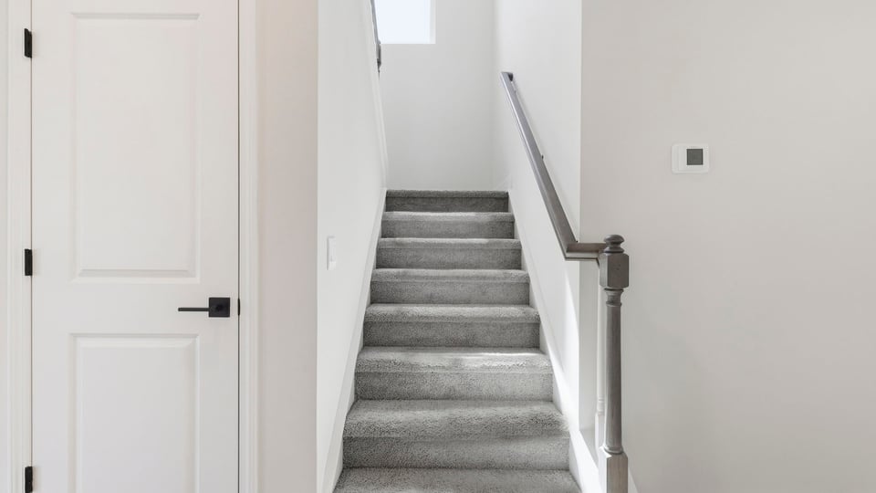 View of stairs with carpet.
