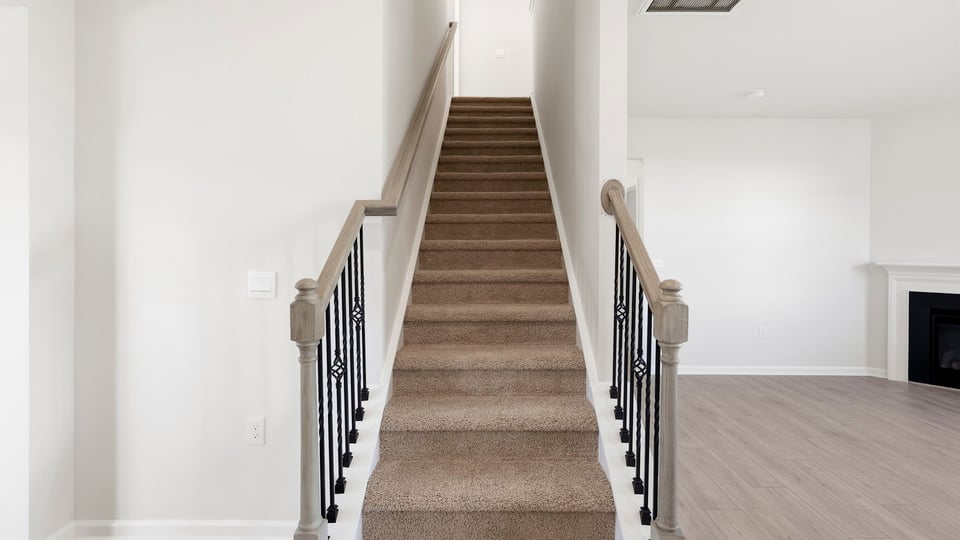 View of stairs with carpet.