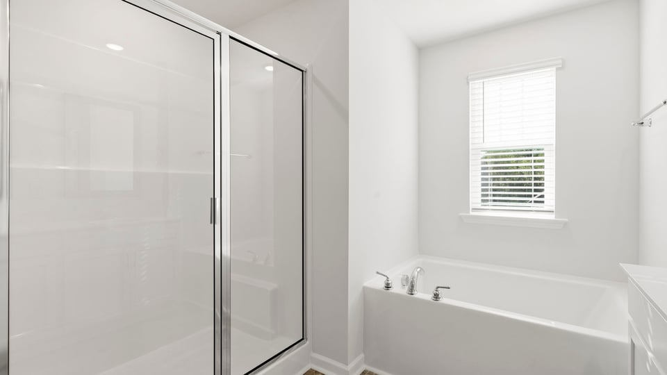 Bathroom with walk in shower and bathtub.