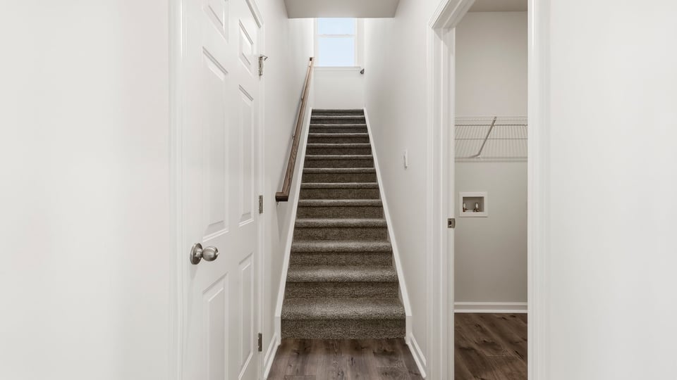 Stairs with carpet to bedroom.