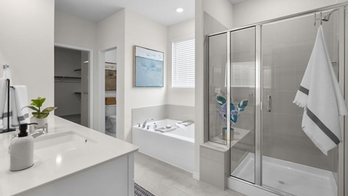Interior primary bathroom with shower, bath tub and walk-in closet