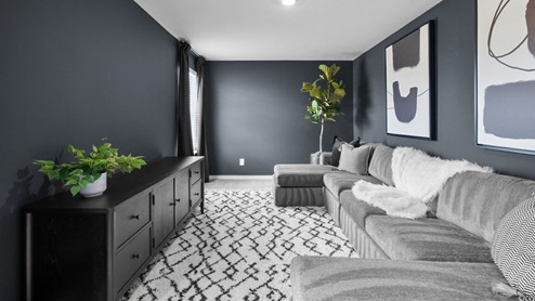 movie room