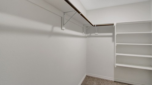 primary suite with full walk in closet