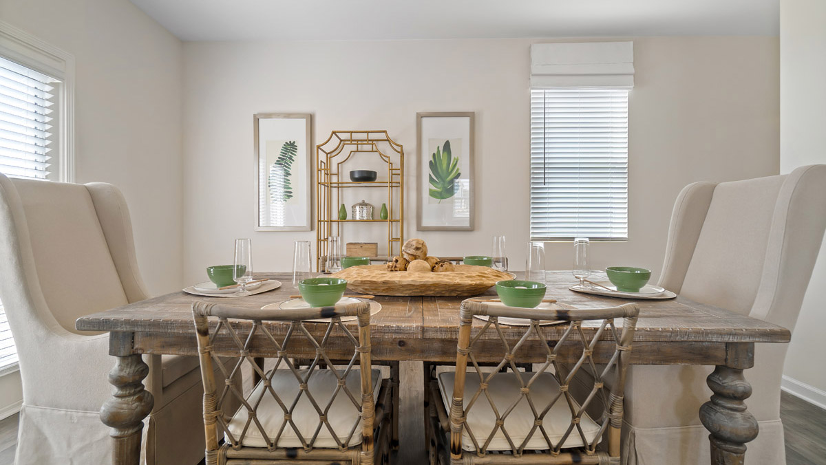 Available Home in Etowah Preserve Dawsonville, GA D.R. Horton