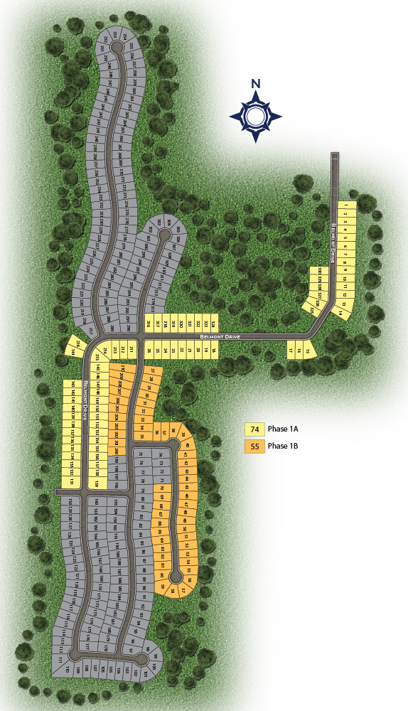 Static Lot Map