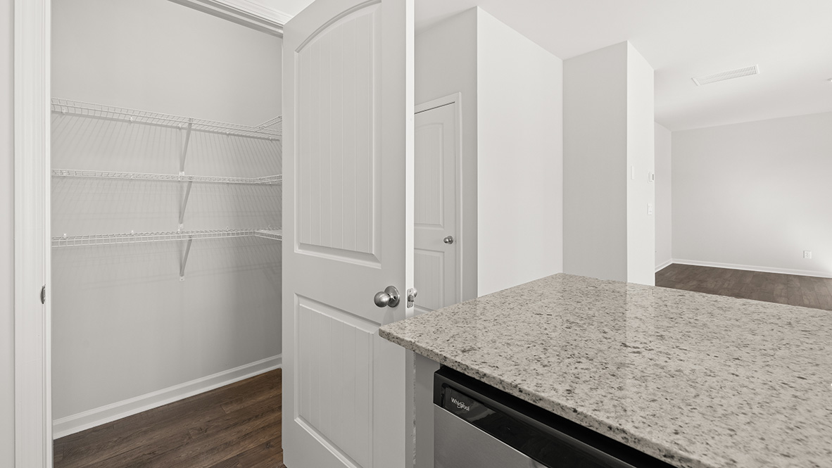 Interior kitchen pantry