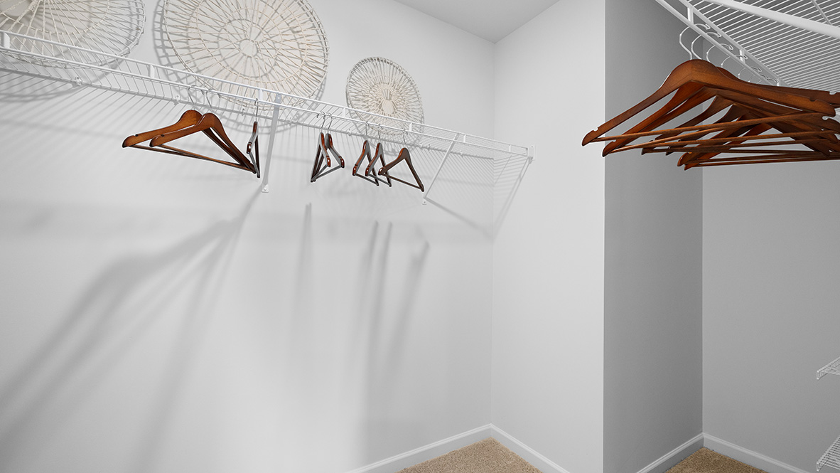 Interior primary walk-in closet