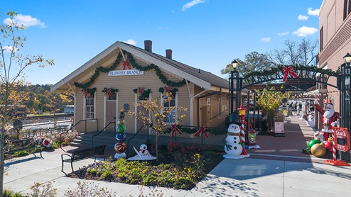 waypoint community in flowery branch georgia near lake lanier