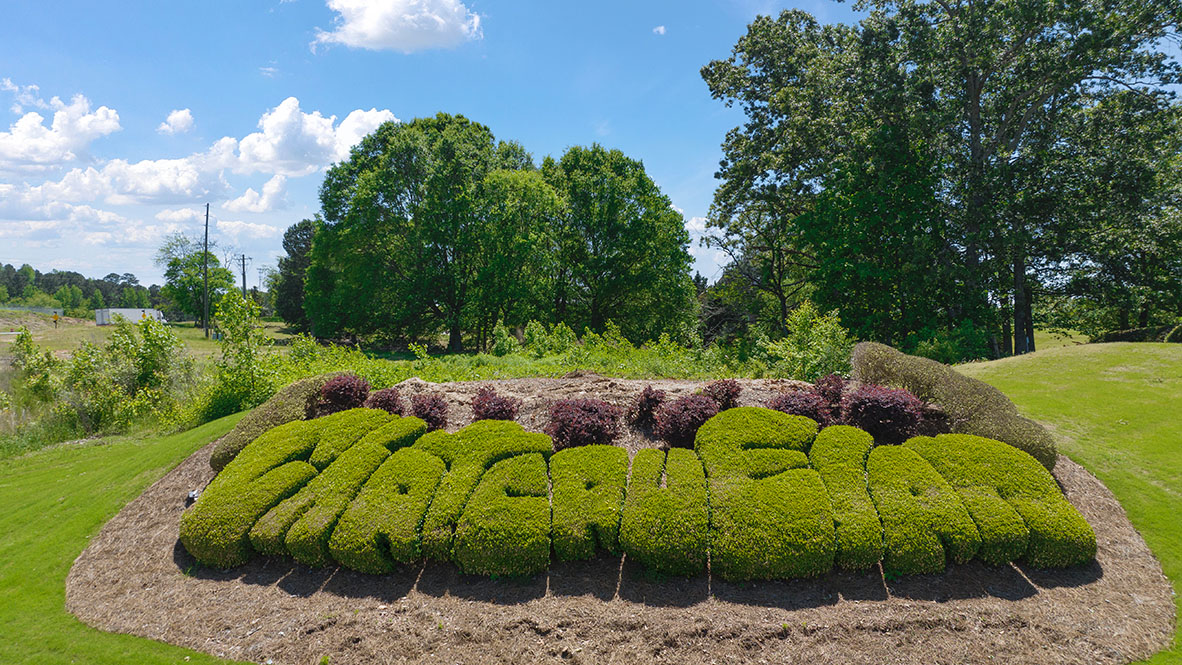 New Homes in Enclave at Bakers Farm Braselton, GA D.R. Horton