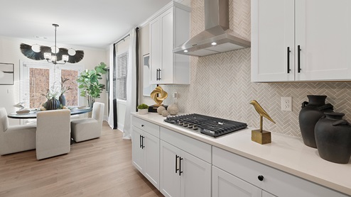 Kitchen with gas stove and storage.