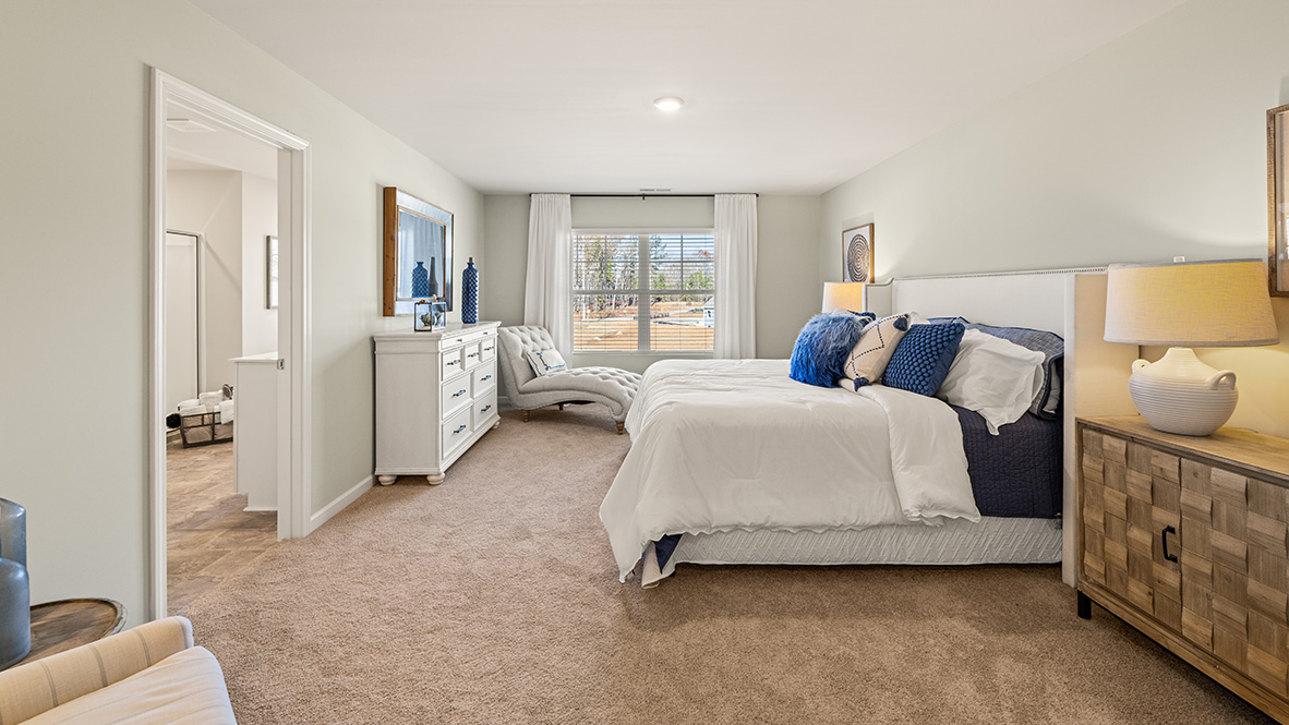 Interior primary bedroom with large window