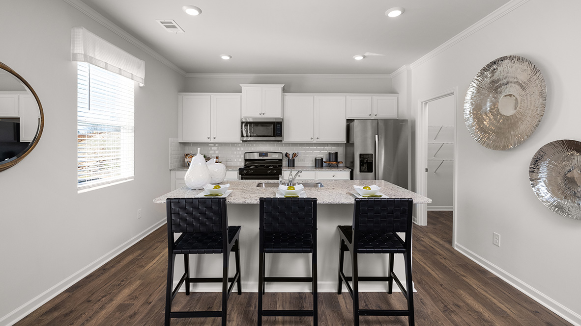 New Homes in Palisades Dallas, GA D.R. Horton