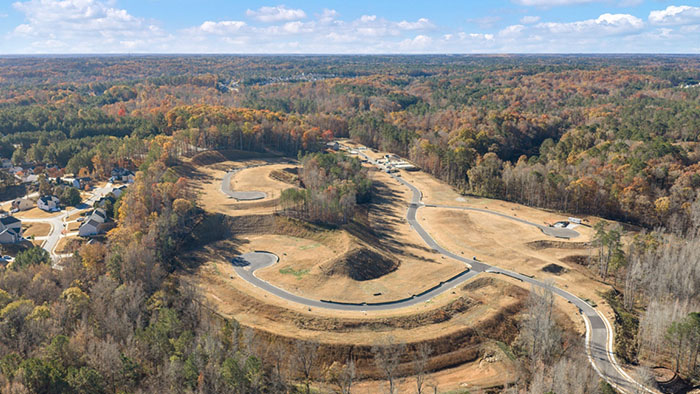 Aerial view of community