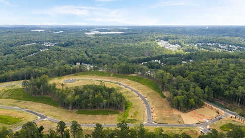 Ariel view of community