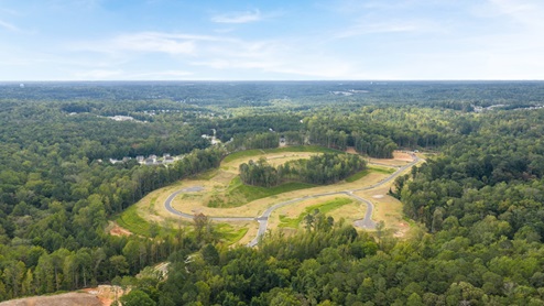 Ariel view of community