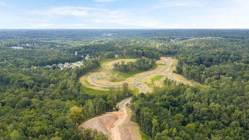Ariel view of community