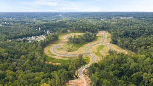 Ariel view of community