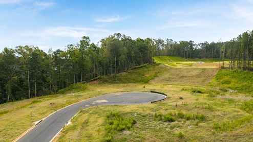 Ariel view of community
