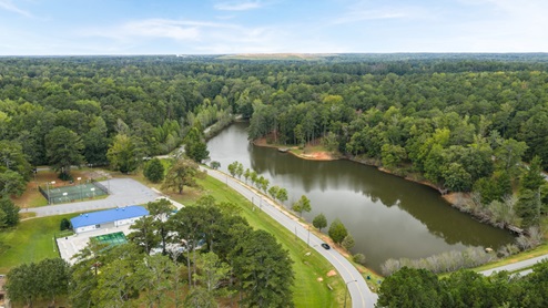 Ariel view of park and community