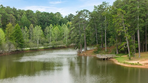 View of lake