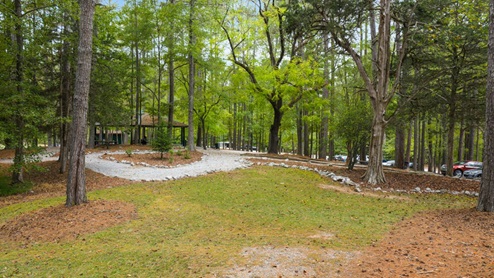 Park