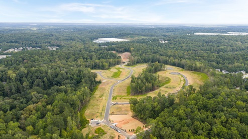 Ariel view of community