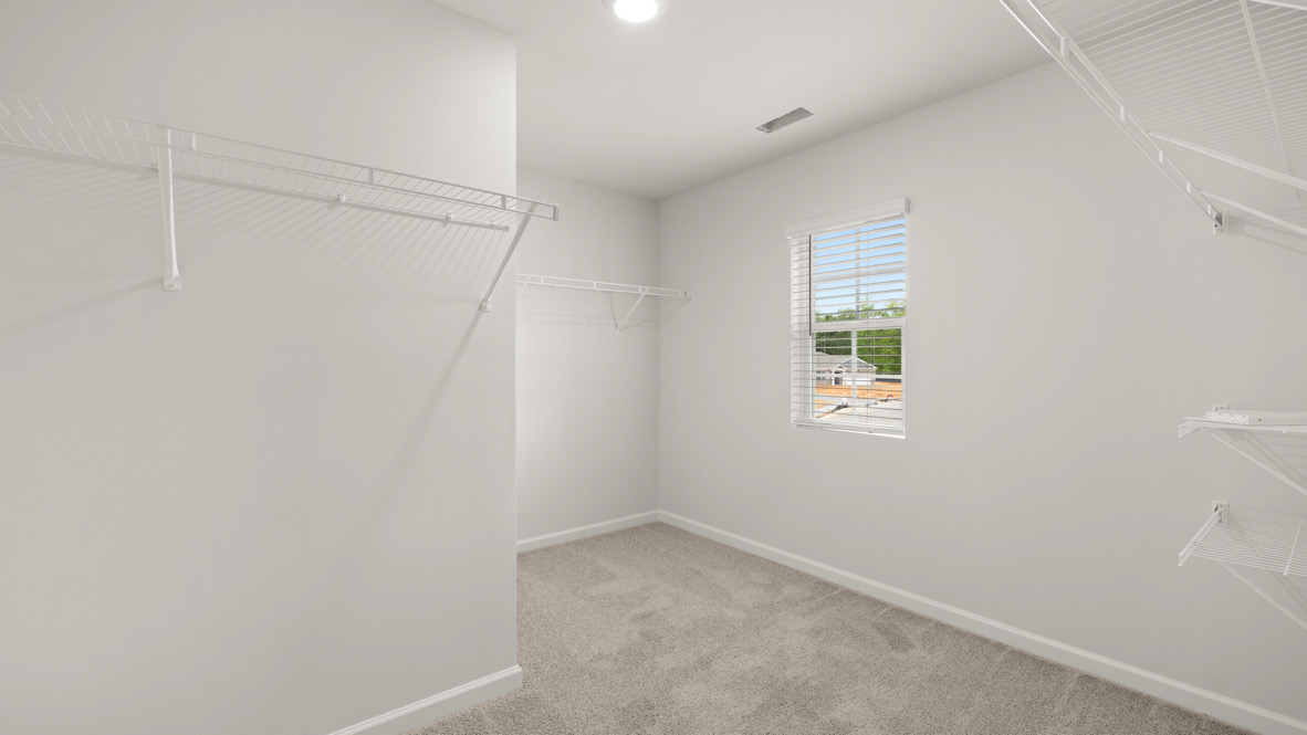 A bright, empty walk-in closet with white walls, beige carpet, and wire shelving. A small window with blinds lets in natural light, creating a fresh atmosphere.