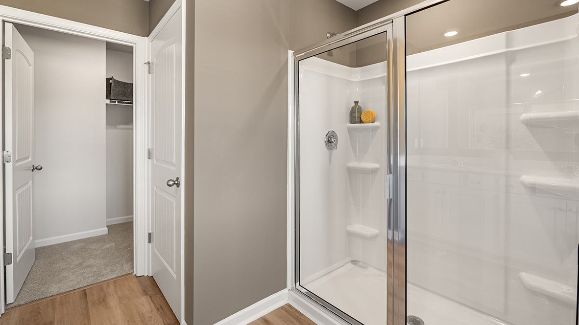 Interior bathroom with shower