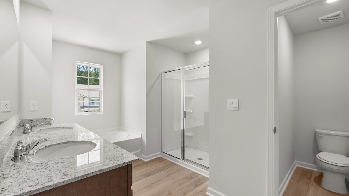 bathroom with a vanity sink, toilet and shower