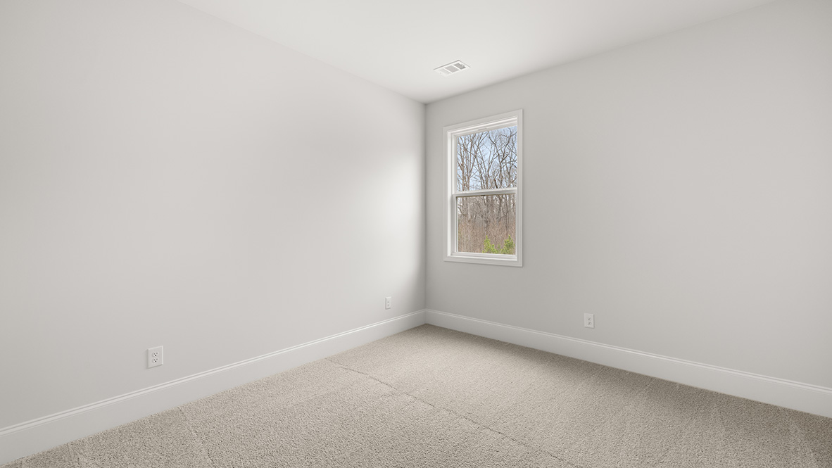 Empty room with white walls and a beige carpet, featuring a single window showing a view of bare trees. Minimalistic and bright with a calm atmosphere.
