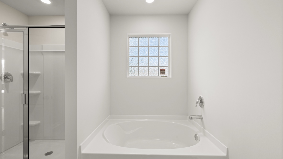 Interior bathroom with shower and bath tub