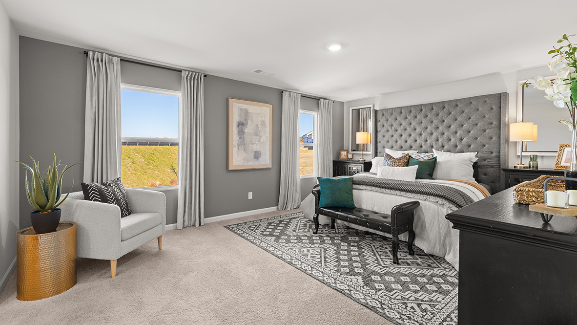 Interior primary bedroom with two large windows and accent wall