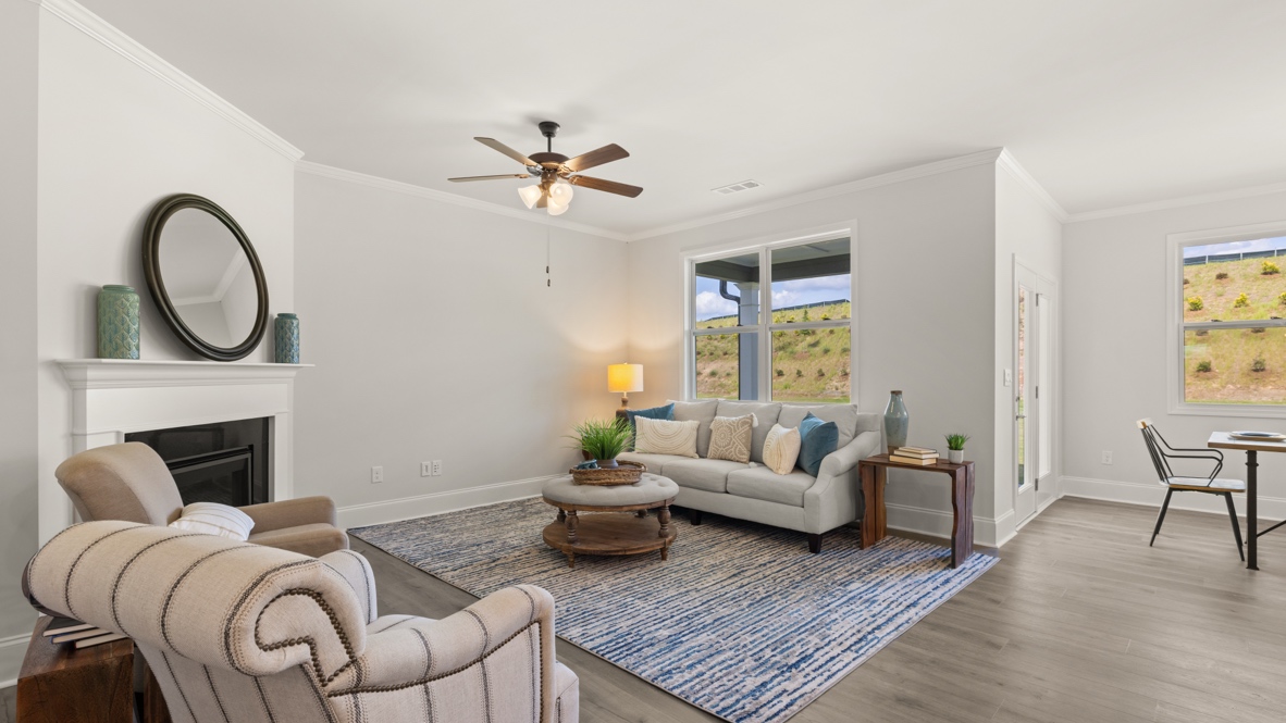 living room with plenty of natural light