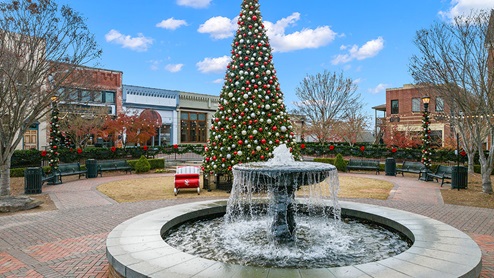hamptons at riverwood a community near dallas georgia