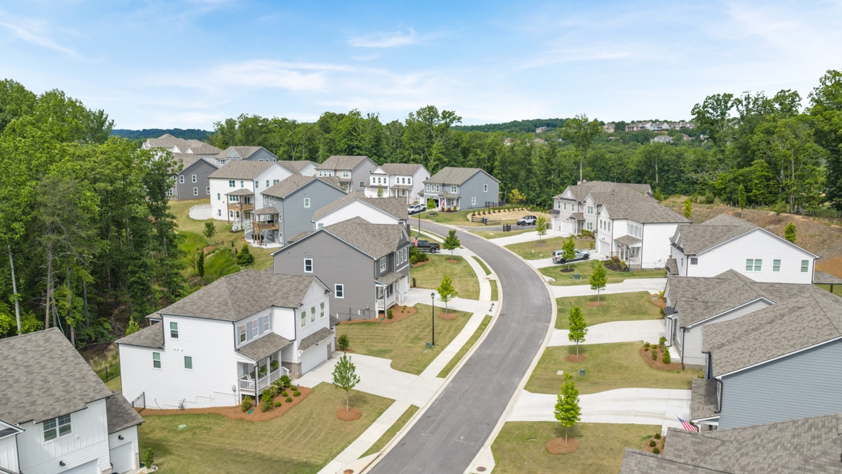 Falcon Landing community street near Lake Lanier