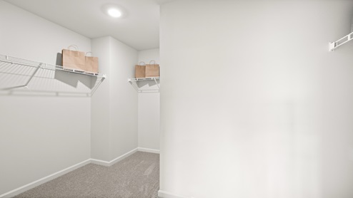 Ensuite walk-in closet with neutral carpet.
