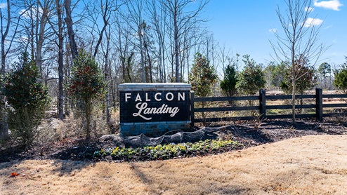 Falcon Landing townhome community