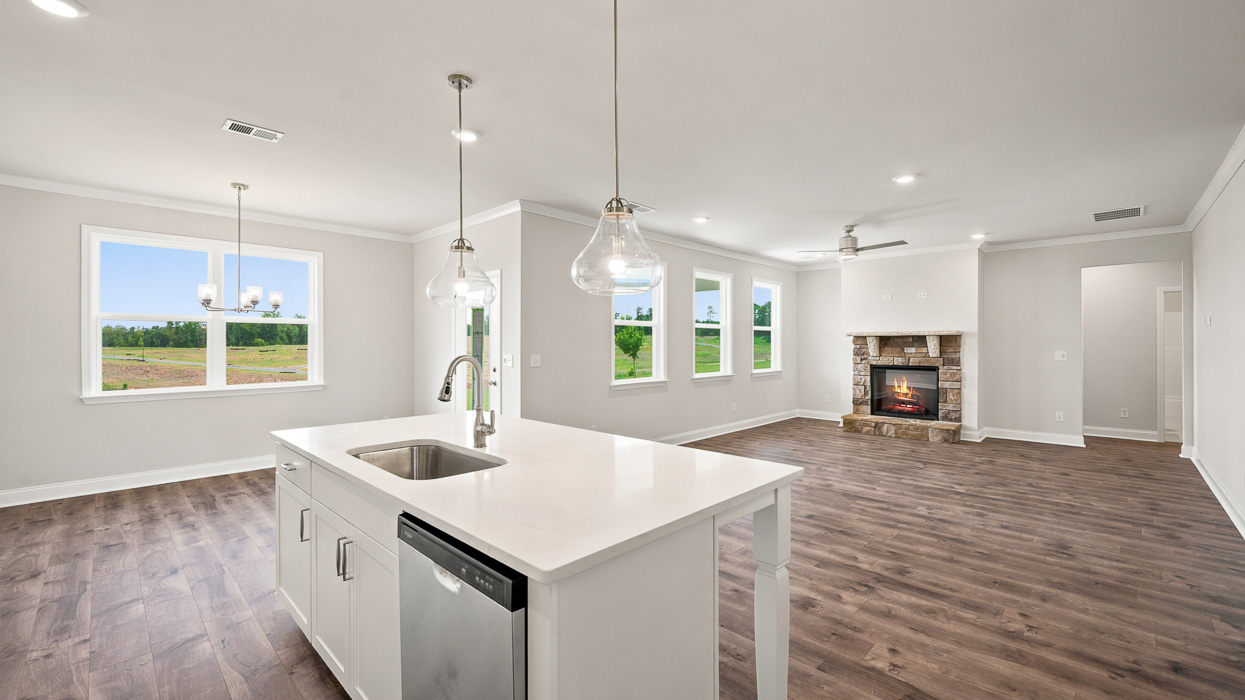 kitchen and family room