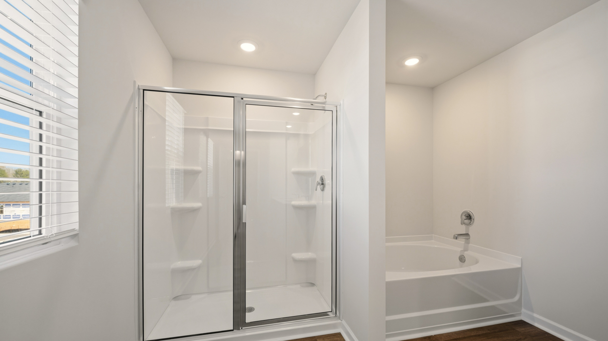 primary bathroom stand-up shower and bathtub