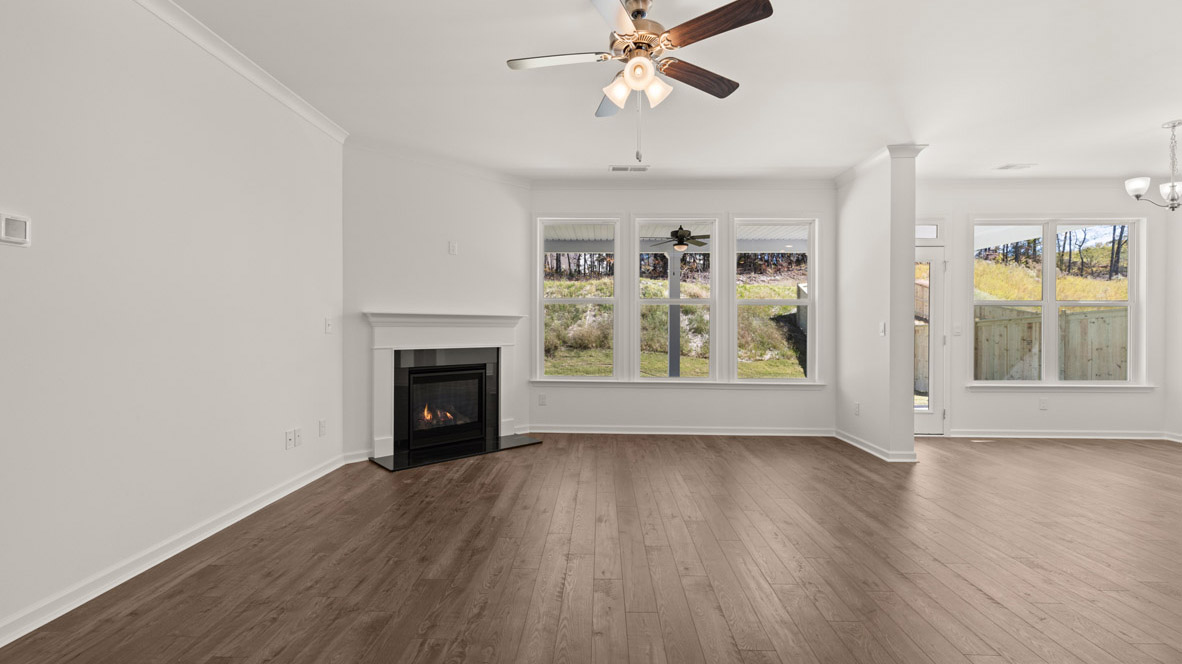 1678 LACEBARK ELM WAY