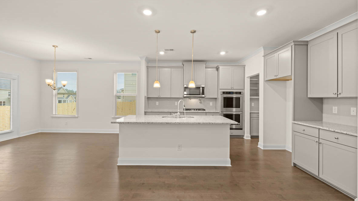 1778 LACEBARK ELM WAY