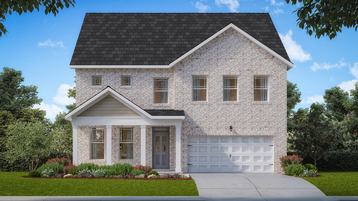 rendering