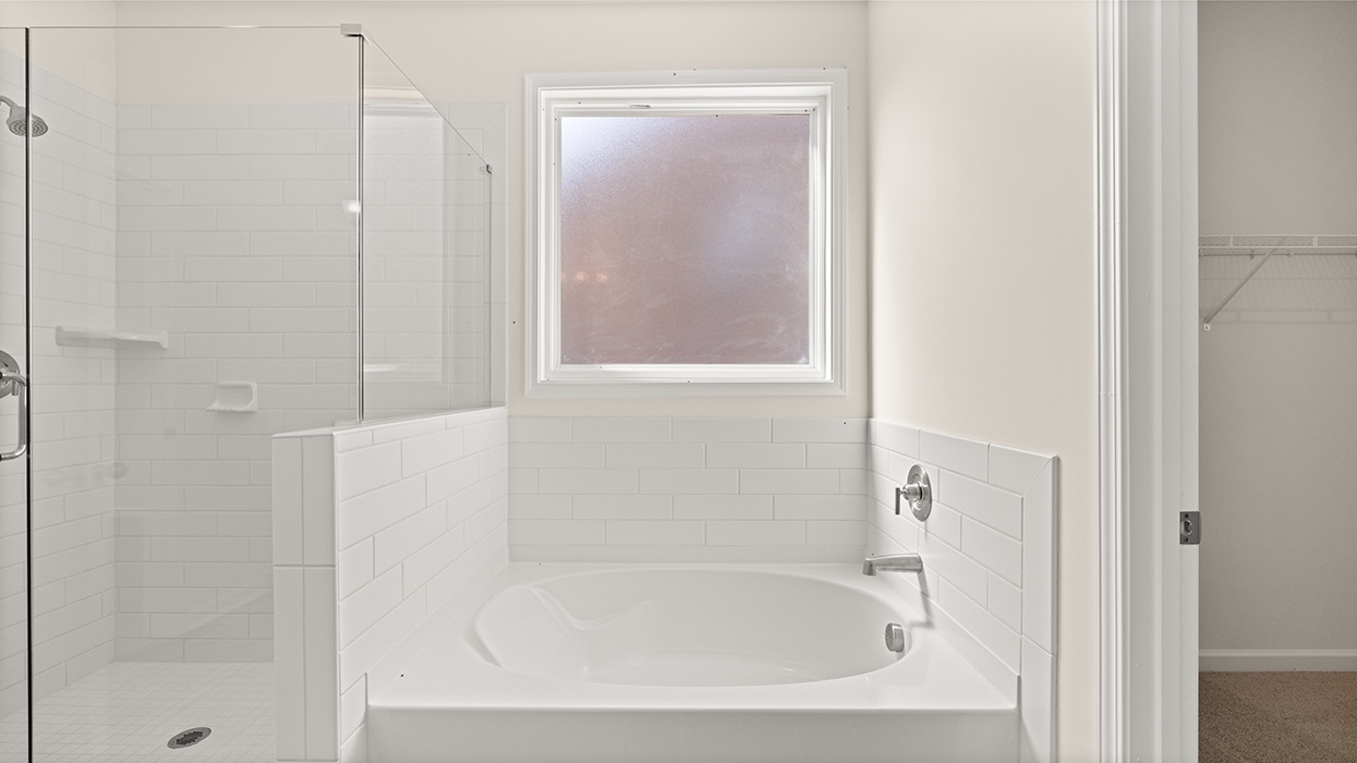 primary bathroom with walk-in shower tub and natural light