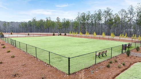 dog park