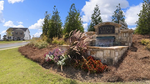 New Homes in Locust Grove Station Cedar Ridge | Locust Grove, GA | D.R ...